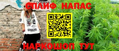 дмт Пушкино
