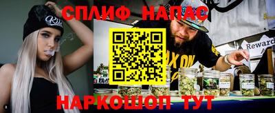 индика Пугачёв