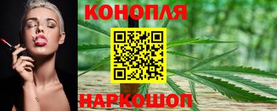 индика Пугачёв