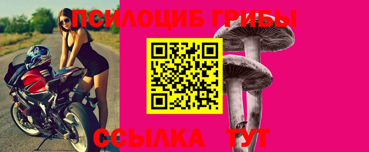 Галлюциногенные грибы ЛСД  Галлюциногенные грибы GOLDEN TEACHER  Серов  Вход с VPN 